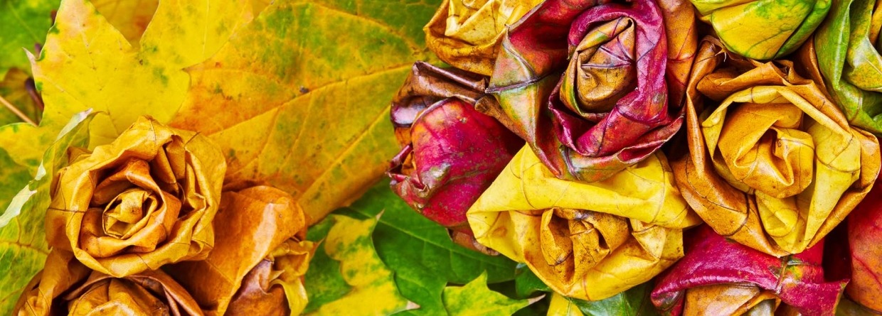 Rozen gemaakt van bladeren